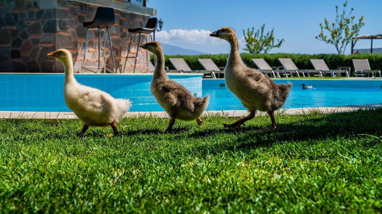 Assos Alis Farm Boutique Hotel&Spa Exterior foto