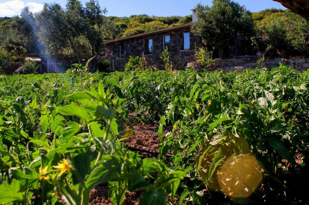 Assos Alis Farm Boutique Hotel&Spa Exterior foto