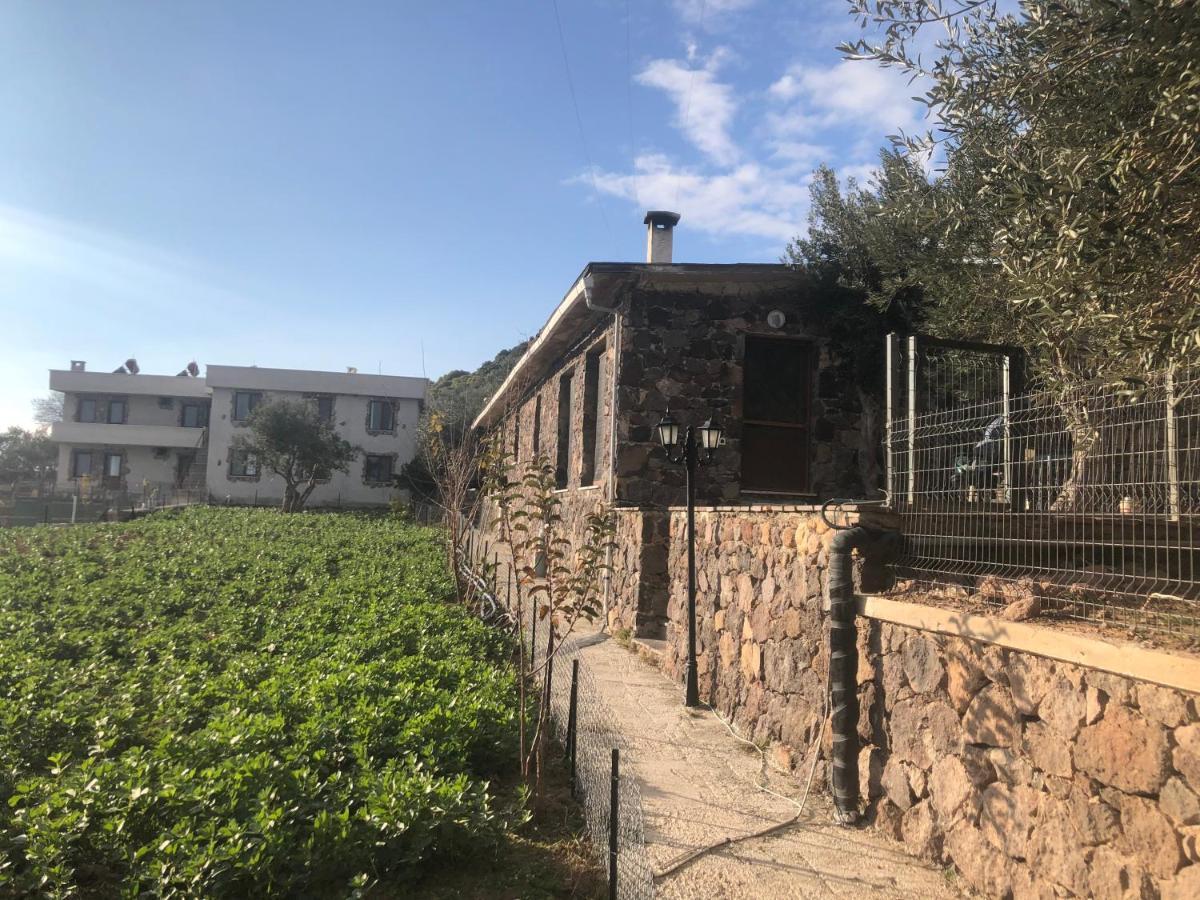 Assos Alis Farm Boutique Hotel&Spa Exterior foto